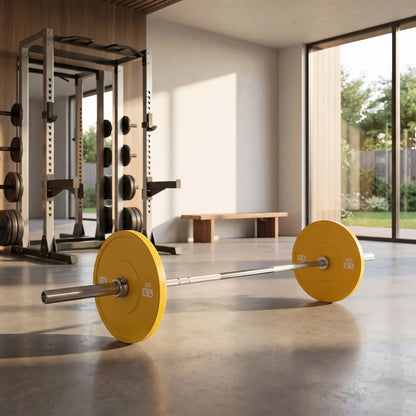 barre musculation charge de disque de musculation