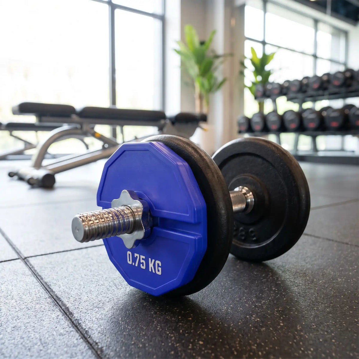 disque musculation ajouté sur haltere