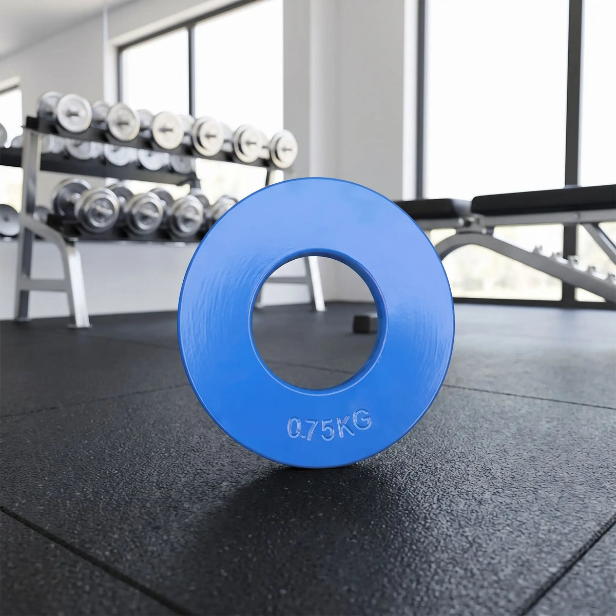 disques musculation 0.75 kg