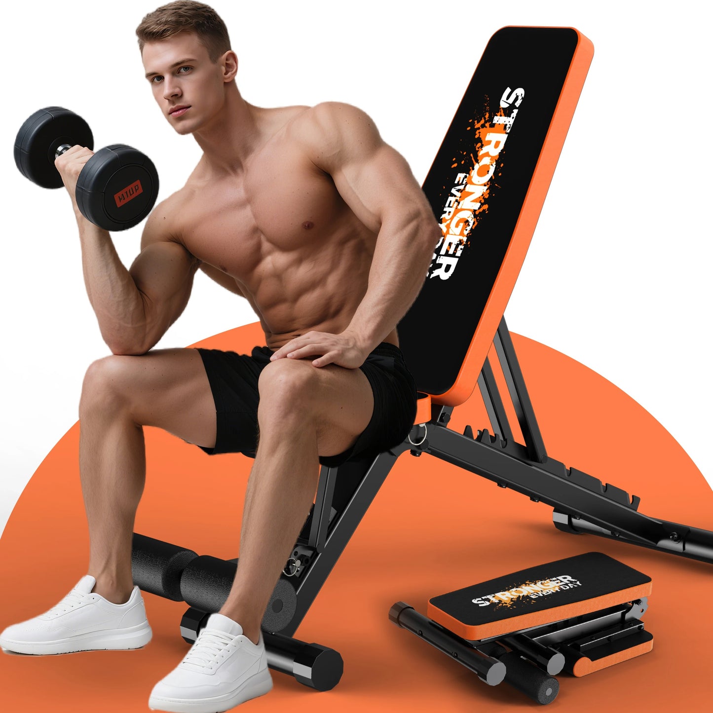 exercice bras sur banc de musculation