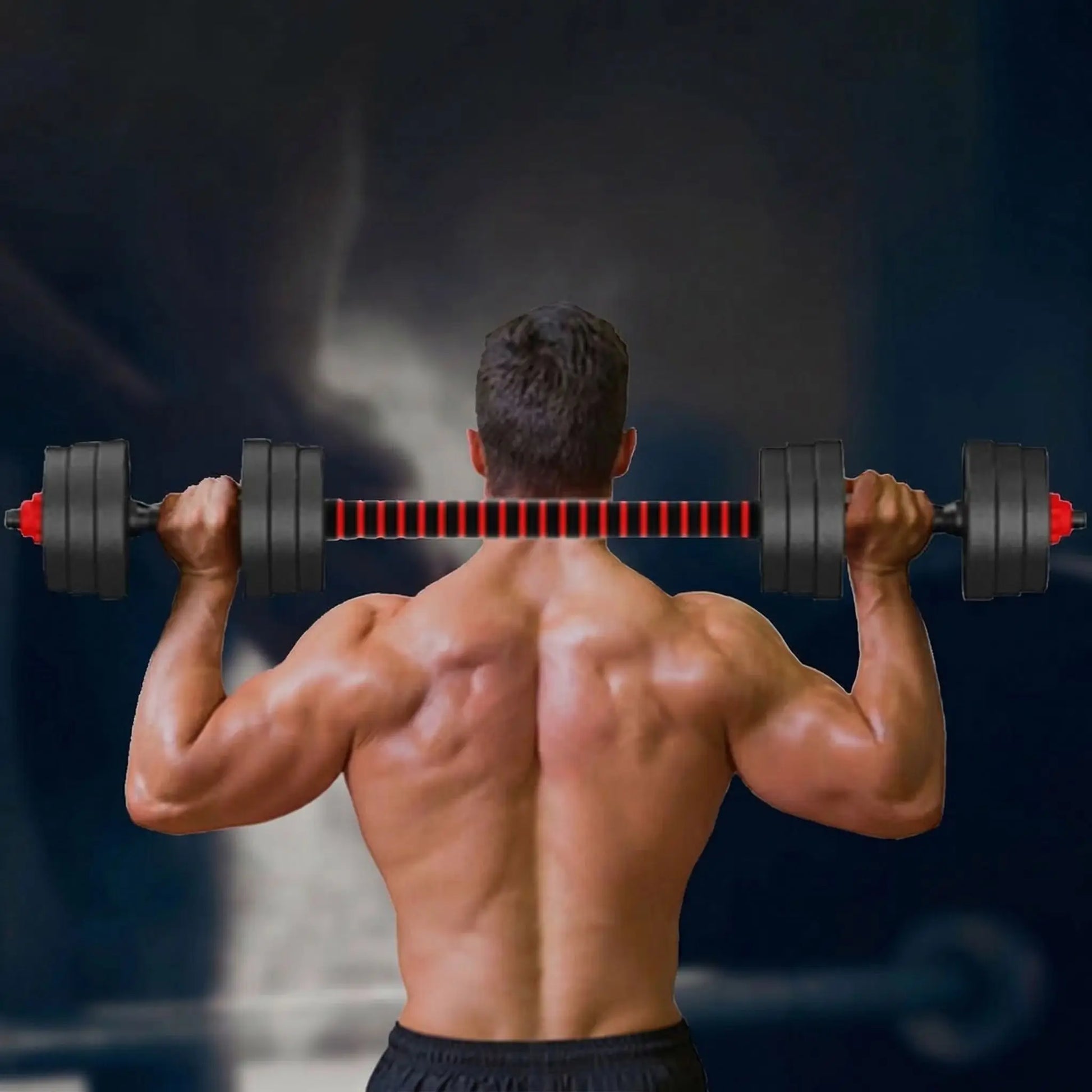 exercice dos épaules avec haltere reglable