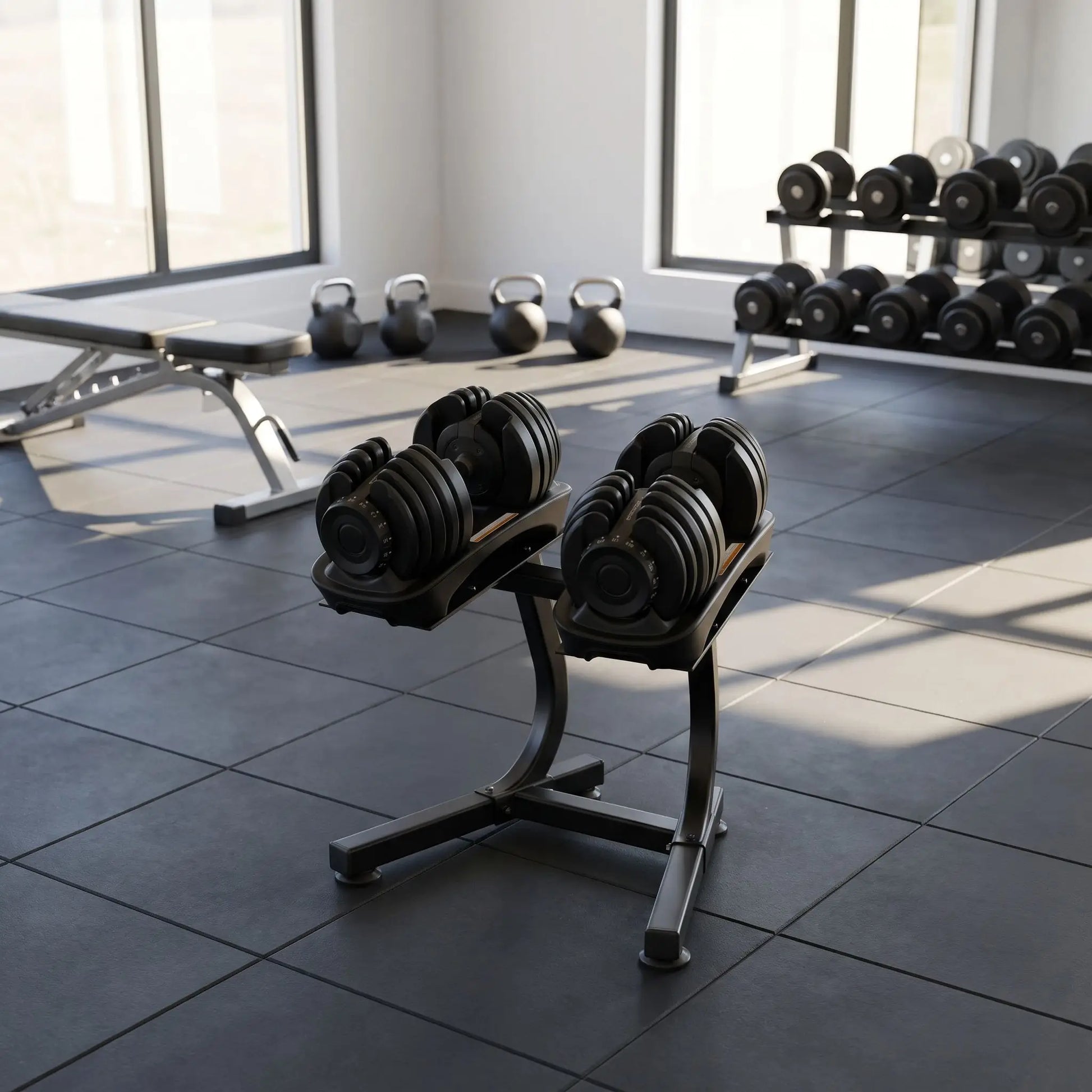 haltère variante 2x20 kg